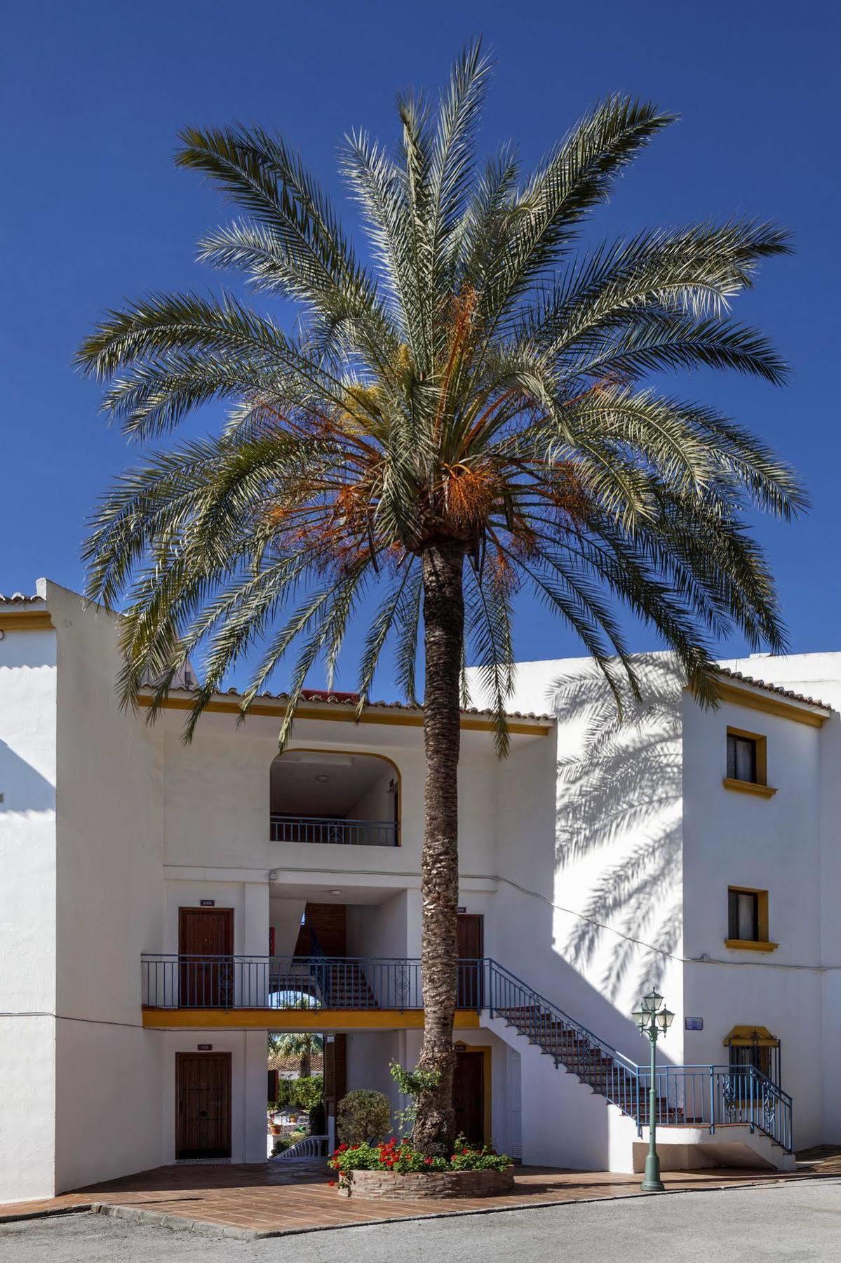 Crown Resorts Club La Riviera La Cala De Mijas Esterno foto